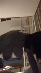 失贞姬妾看似文静但是床上非常狂野的G罩杯大奶女友
